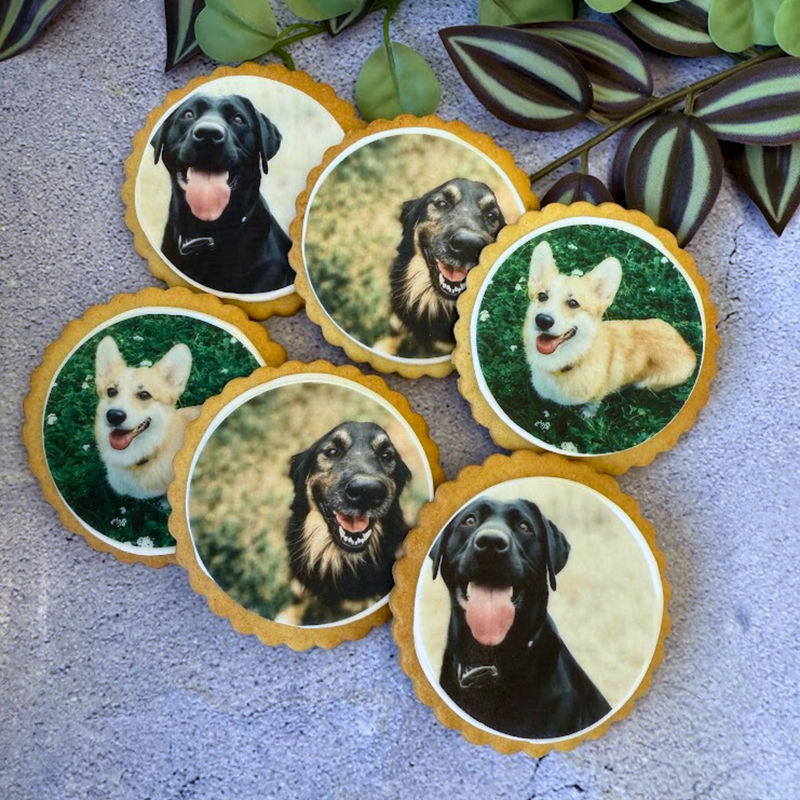 Dog biscuits with edible images of three dog breeds — a Labrador, a mixed breed, and a Corgi — on a grey surface with green leaves.