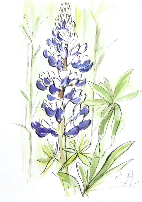 Water colour painted design of a garden flower biscuits.