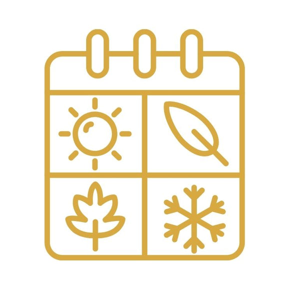 All Seasonal Collection