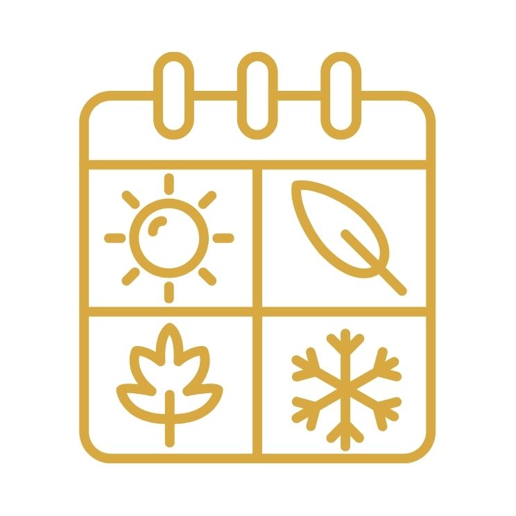 All Seasonal Collection