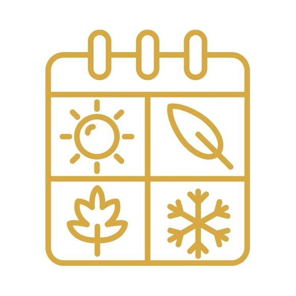 All Seasonal Collection - The Biskery