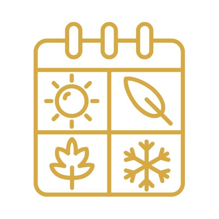 All Seasonal Collection - The Biskery