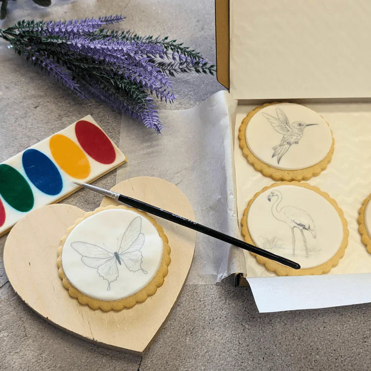 a set of paint-your-own biscuit product