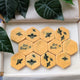 A set of yellow honeycomb-patterned hexagonal iced biscuits with black bee illustrations and the phrase 'Bee Kind' printed on two of them, displayed in an open box with green leaves around them.