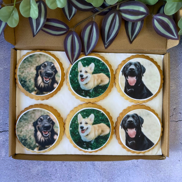 Box of cookies with images of dogs on a light background