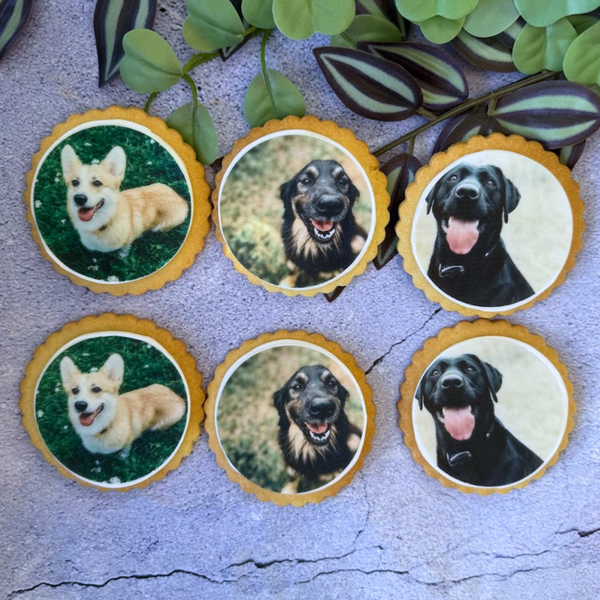 Six dog biscuits featuring edible images of three different dog breeds, arranged on a surface with green leaves.
