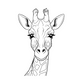 Black and white Giraffe, perched on a white background.