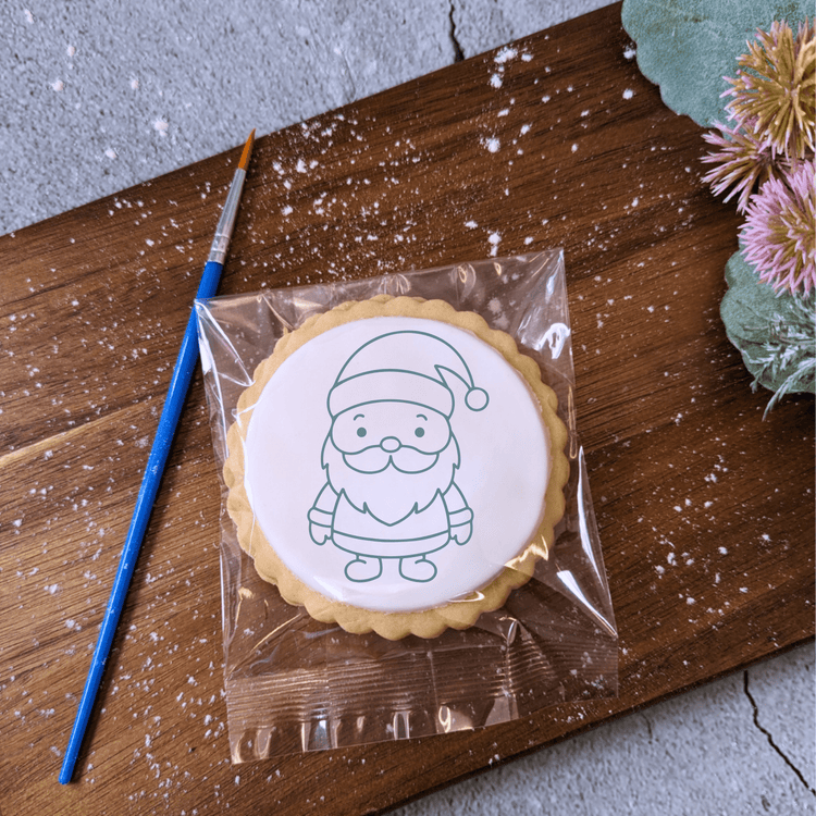 DIY Painted Christmas Party Biscuits - The Biskery