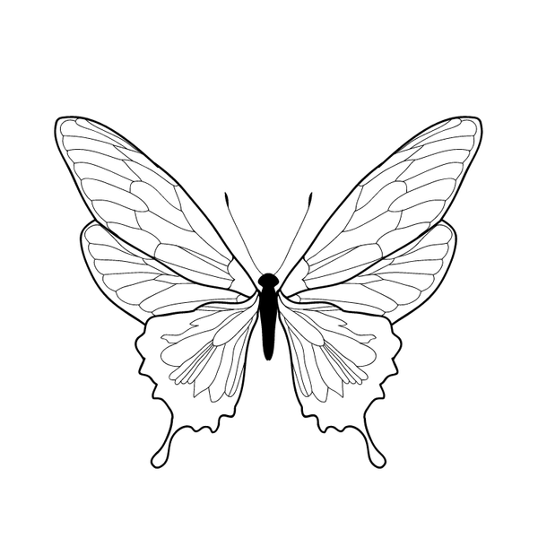 DIY Painted Party Favour Biscuits - The Biskery