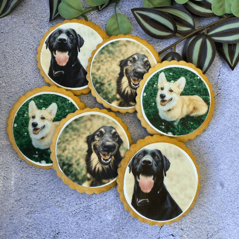 Dog Biscuits - The Biskery