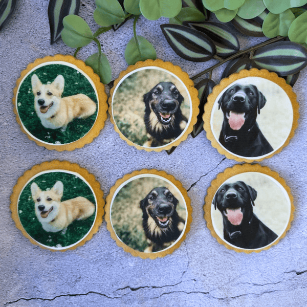 Dog Biscuits - The Biskery