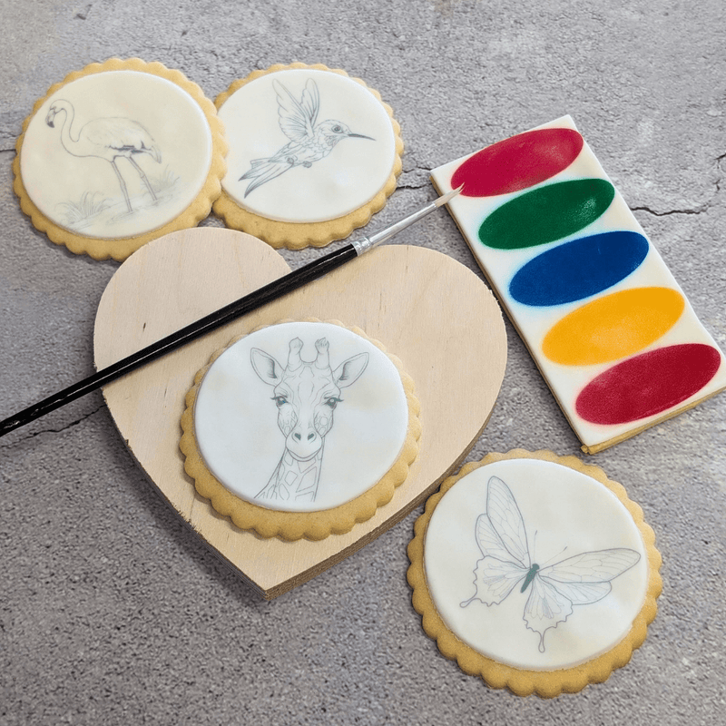 Paint Your Own Biscuits Box - The Biskery
