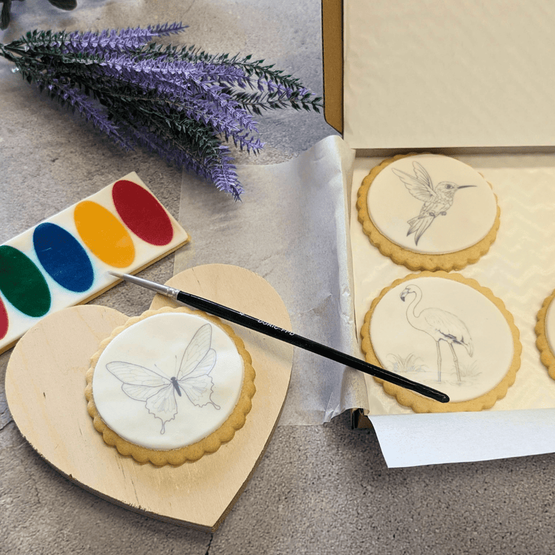 Paint Your Own Biscuits Box - The Biskery