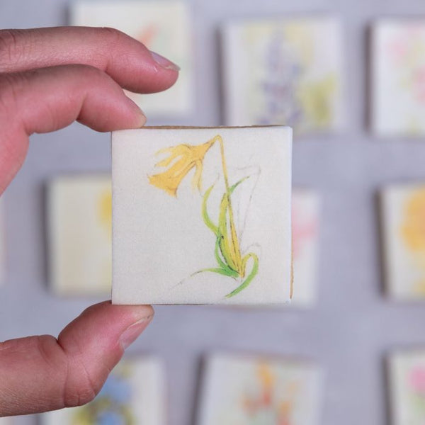 Woman holding a small painting of a daffodil printed edible flower biscuit.