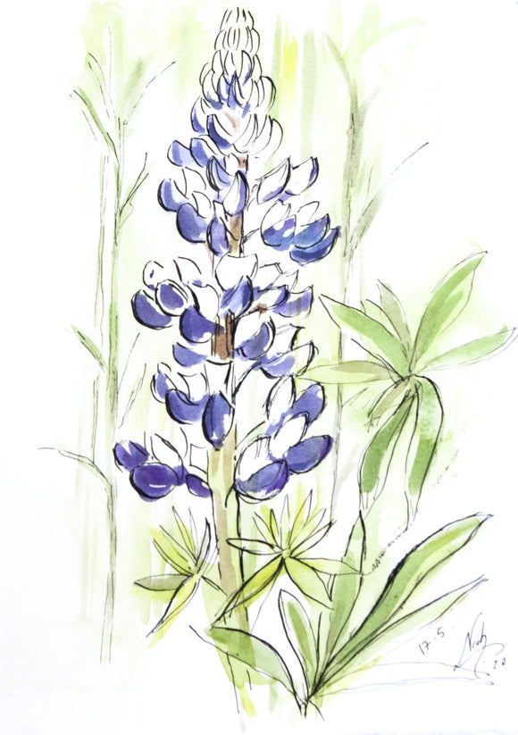 Flower Biscuits - The Biskery